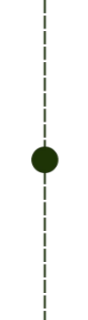 A connecting line shown basically to connect the different facilities provided on the page of sustainable spark.