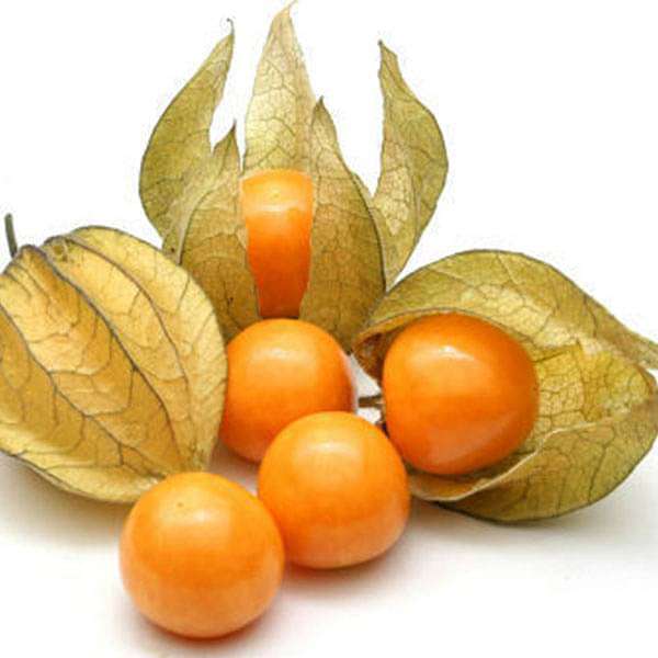 Cape Gooseberry, Rasbhari - Fruit Seeds