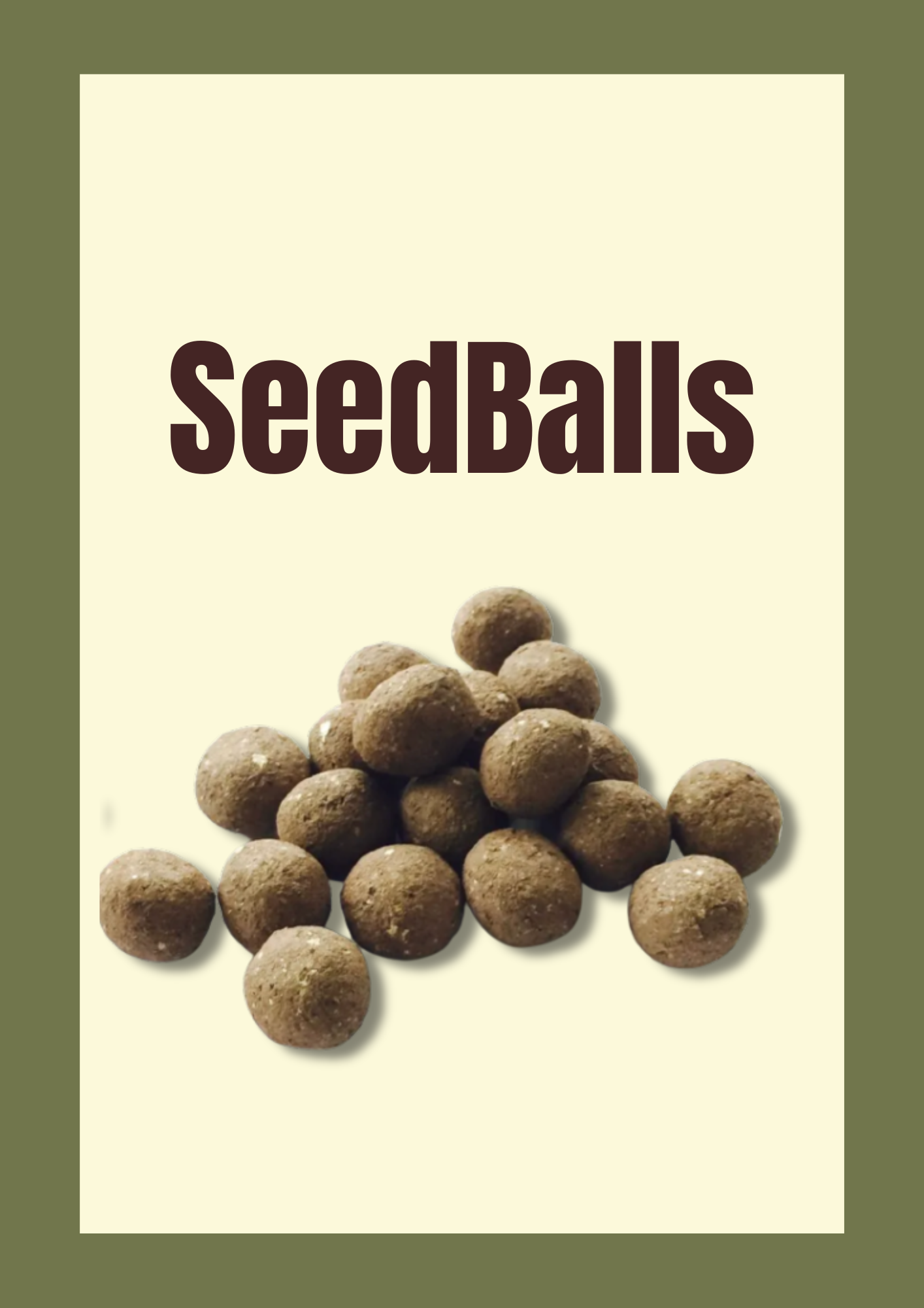 seedballs
