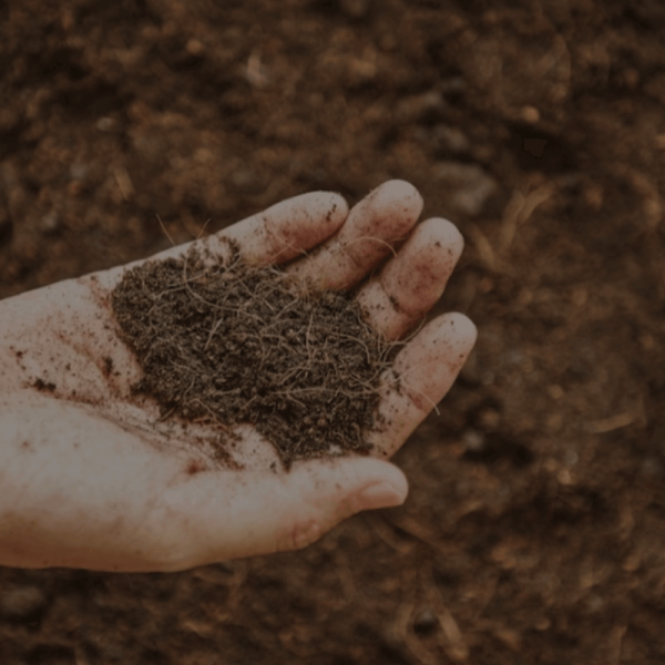 image indicating composting a reflection of our view for sustainable and eco-friendly living